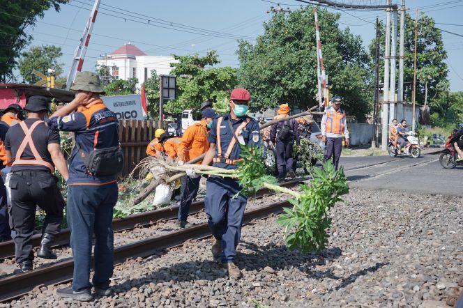 
					KAI Daop 4 Semarang Laksanakan Bersih Lintas dan Sosialisasi Bahayanya Bakar Sampah di Sekitar Jalur Kereta