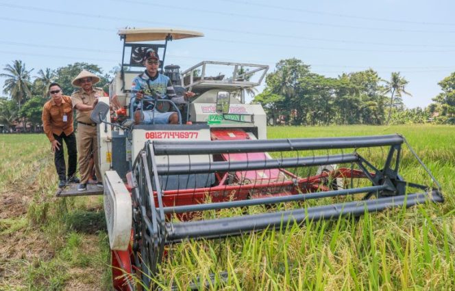 
					Produksi Padi Jateng 2024 Sumbang 17 Persen Kebutuhan Pangan Nasional