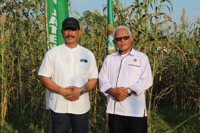 
					Menteri Desa Yandri Susanto Akan Hadiri Panen Sorgum Bersertifikat Bareng LDII Jateng