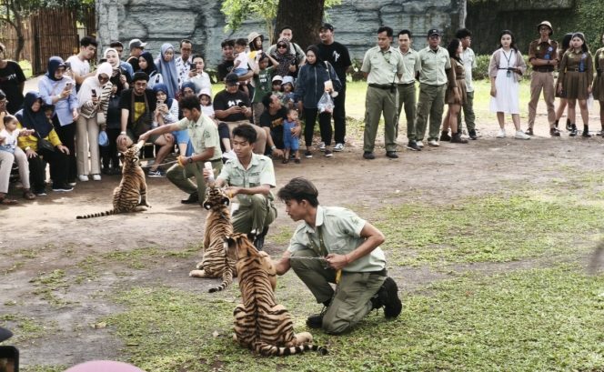 
					Ini Berbagai Hiburan hingga Promo Tiket di Solo Safari di Momen Libur Sekolah, Buruan Manfaatkan
