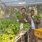 Sharp Hydro Heroes, yang fokus pada pertanian hidroponik, kini sudah memasuki musim panen kelima. Tak hanya jadi petani modern, mereka juga dilatih untuk punya jiwa wirausaha.