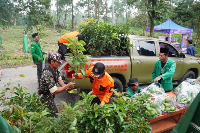 
					PT PLN (Persero) bersama GP Ansor dan Pemerintah Kabupaten Boyolali menyalurkan bantuan bibit alpukat kepada warga Desa Sumur, Kecamatan Tamansari, Kabupaten Boyolali, Sabtu (7/2).