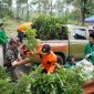 PT PLN (Persero) bersama GP Ansor dan Pemerintah Kabupaten Boyolali menyalurkan bantuan bibit alpukat kepada warga Desa Sumur, Kecamatan Tamansari, Kabupaten Boyolali, Sabtu (7/2).