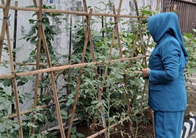 
					Ning Nawal Ajak Perempuan Jateng Menanam Sayur di Sekitar Rumah