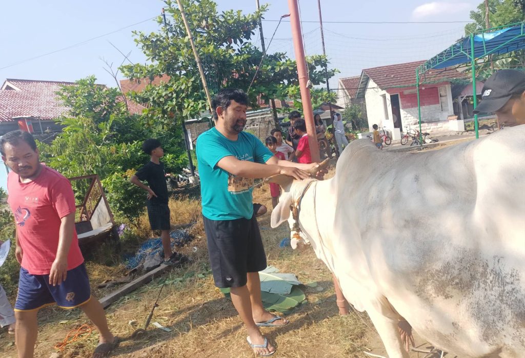 Gotong royong kurban di Sitalang Ungaran Timur