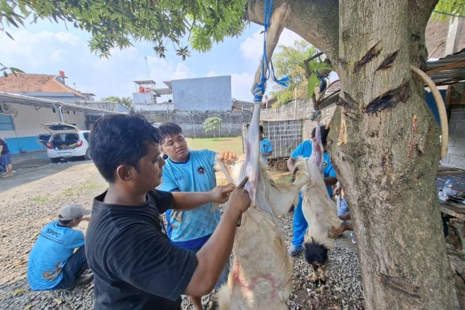 
					Idul Adha di SPPG Tugu Karanganyar Semarang, Kurban Dibagikan Langsung ke Rumah Warga Sekitar