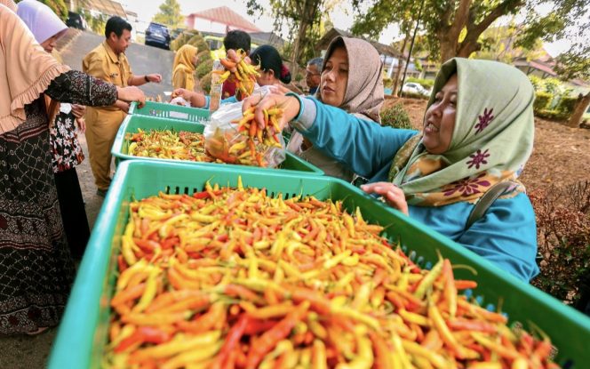 
					Cabai Tembus Rp 90 Ribu, Ahmad Luthfi Hadirkan Pangan Murah