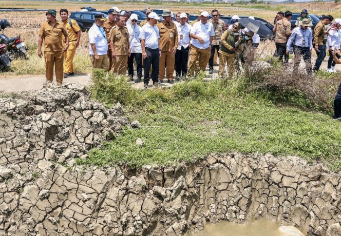 
					Luthfi Pacu Produktivitas Pertanian Demak, Normalisasi Irigasi Sasar 450 Hektare Sawah