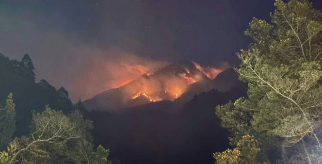 
					Karhutla Lawu dan Sumbing Meluas, Ahmad Luthfi Siapkan Dukungan Helikopter TNI