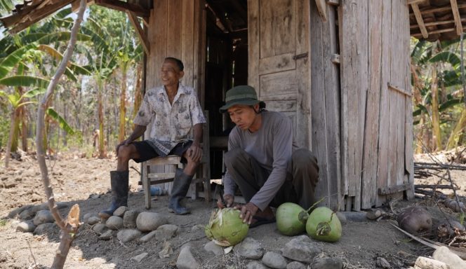 
					Petani Gagal Panen Terbantu Program Petani Gajian, Ini Harapan Mereka