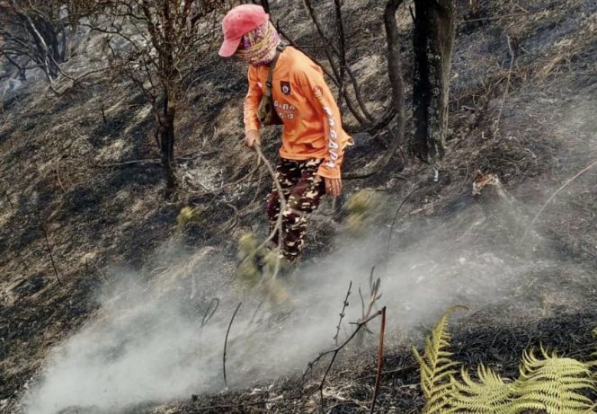 
					Perjuangan Relawan Padamkan Api Sumbing, dari Kayu Manual hingga Menembus Jurang