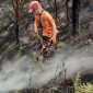 Perjuangan Relawan Padamkan Api Sumbing, dari Kayu Manual hingga Menembus Jurang