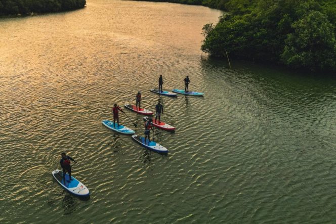 
					Eduwisata Mangrove Demangkarta, inovasi sosial Solusi Bangun Indonesia yang berlokasi di Cilacap, Jawa tengah.